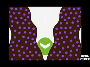 Chicka Chicka 123 Mirror