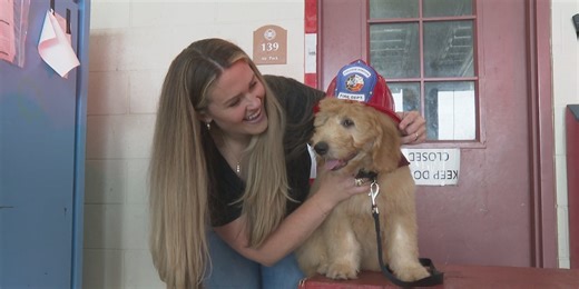 Therapy dog in training aims to help first responders in traumatic events and recovery