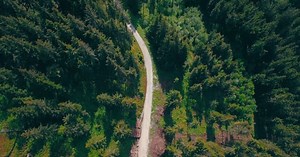 Forêt Chemin Forestier Route - Free video on Pixabay