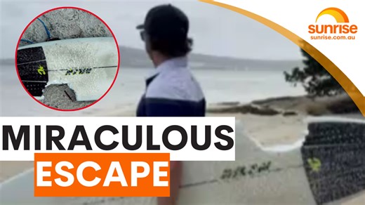 6.1K views · 20 reactions | SURFER V SHARK 麗 A surfer miraculous escape after a three-meter shark charged at him and took out a chunk of his surfboard. WATCH SUNRISE FOR MORE | @7plus ☀️ | Sunrise | Facebook