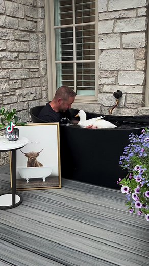 Duck bath time… #fluffyfeathefarm | Fluffy Feather Farm