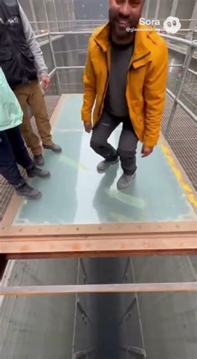 This Glass Floor Just Broke Their Brains 🤯 #glassfloor #funny #fearofheights #prank