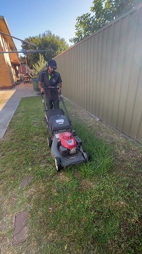 2.2K reactions · 15 shares |  Ready to turn this jungle into a...