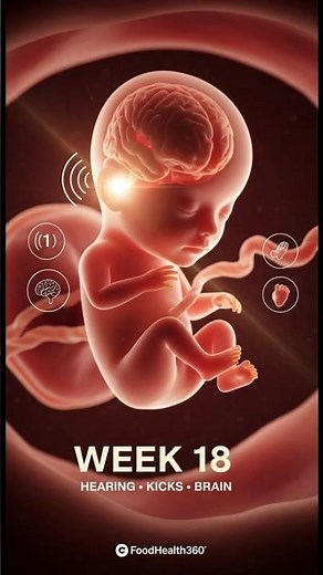 New! Week 18 Pregnancy in 3D: Baby’s Hearing, Kicks & Brain Growth Explained #shorts