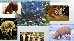 Uses of Bioinformatics in Genome Analysis - Video | Study.com