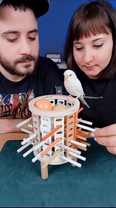 563K views · 3.2K reactions | تعالو نلعب لعبة (kerplink game) #boardgames #gamenight #couple #fun #games #strategygames #familygames #twoplayergames #ألعاب #عائلة #تحدي | فتى الالغاز - Puzzlesguy | Facebook