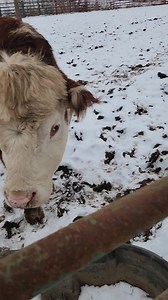 8.6K views · 252 reactions | I just found this video on my phone from...