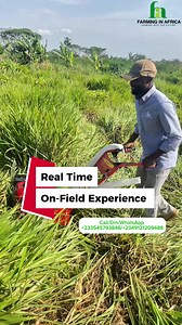 Revolutionizing Farming with Walking Tractors