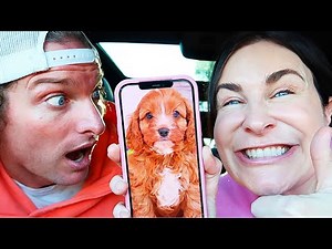 SURPRISING THE NORRIS NUTS WITH THEIR OWN PUPPY