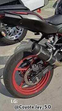 Leo Vince Gp Corsa Exhaust on 2024 Kawasaki Z500