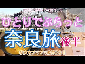 Nara Trip Second Half/Lunch/Cafe/Deer/Kasuga Taisha Shrine/Female Traveling Alone