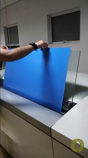 🎨 A arte é por nossa conta!