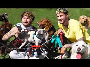 We Adopted ALL Of Our Friends Dogs For The Day