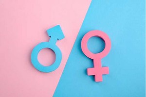 UN Women: Here's how to bridge gender digital gap