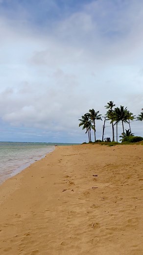 This beautiful Anini Beach on the island of Kauai was hidden with no one insight & beautiful clear water. 🌴 They have protections in place for the coral reef too. 🪸What an amazing place to be! #Kauai #Hawaii #PacificIslands #Beach | Aimee Johnson
