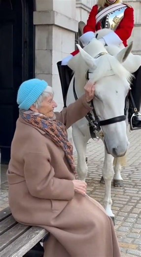 The Incredible Way a Royal Guard's Horse Pays Tribute ❤️🐎