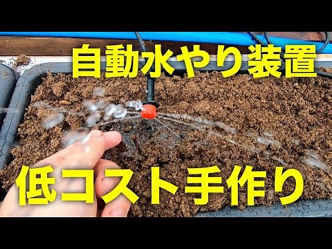 【自動潅水】農業用の自動水やり装置の作り方！イチゴやトマト栽培、家庭菜園に使えます