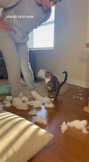 Cat Tattles, Dog Busted