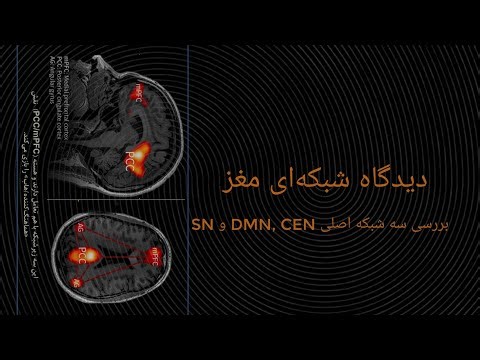 دیدگاه نتوورکینگ مغز (شبکه‌ای) با بررسی DMN, CEN و SN