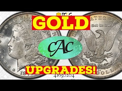 CAC Grading Unboxing! Gold CAC PCGS & NGC Stickers