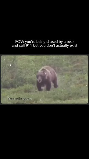 On October 18, 2024, a frantic 911 call was placed from the Cherohala Skyway in Tellico Plains, Tennessee. The caller identified himself as Brandon Andrade and claimed he was being chased by a bear before falling off a steep cliff. When search teams arrived at the remote location, they discovered a body carrying Andrade's identification, leading them to believe the