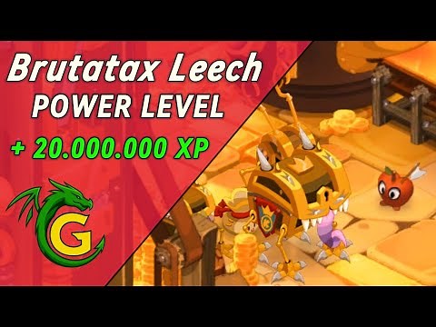 Get to level 200 FAST with this Power Level Strategy! Dofus Unity