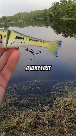 Is the Googan Squad Rival good? #bassfishing