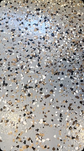 Cherry - President of the Grumpy Cat Club ASTRO Foundation chapter. Looking for companion for your cat but not looking at add another friend to your buddy list? Cherry understands. She’s too cool for cuddles, over human interactions and deeply unimpressed by, well… everything. She’s here to vibe with your cat and avoid you like a professional introvert. Adopt Cherry today - because not every cat wants to be your bestie #grumpycatenergy #catfriendsonly #felinequeen | ASTRO Foundation Inc.