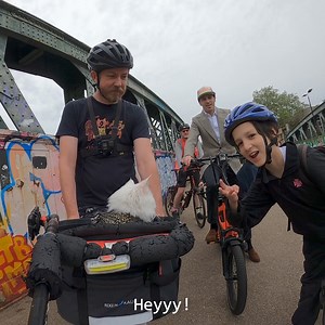 Too dangerous to cycle to school? Not with a BIKE BUS! This is a group of children chaperoned by responsible adult volunteers, cycling to school safely and avoiding the chaotic car school rush! Is there one in your neighborhood? Maybe it's time to start it up! Thanks to @bikebuscamden for inviting us! . . . #gatos #michis #kissa #pishi #pusa #kot #kit #chat #kedi #katze #gatto #katt #貓 #ネコ #고양이 #kucing #kotek #cats #cat #catlife #pets #catoftheday #sigrid #london #bike #cyclingphotos #bikelife #