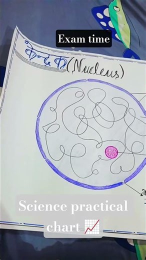 science practical chart project#nucleus*..
