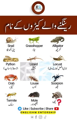 Crawling Insect Names in English #fyp #fypシ #fypシ゚viral #fory #foryou Learn english, english grammar, english speaking practice, english class, english teacher, spoken english, viral video, online english, english speaking practice, how to learn english fast, english vocabulary, vocabulary words, english class foryou, foryoupage, foryourpage, fypage, english grammar