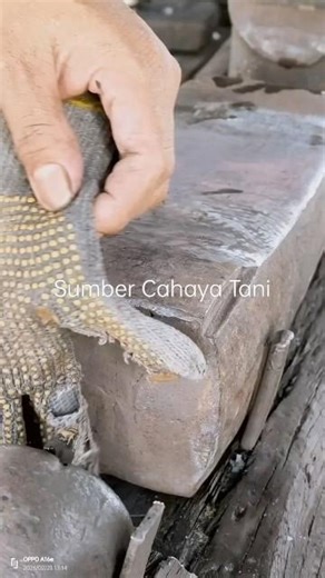 "Unexpectedly, it turns out that a hammer can be used for cutting" #pandaibesi #blacksmith #forging