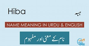 Hiba Name Meaning - Hiba Origin, Popularity & History