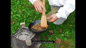 Coffee in the Colonies