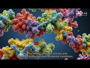 Understanding Proteinase K in 60 Seconds