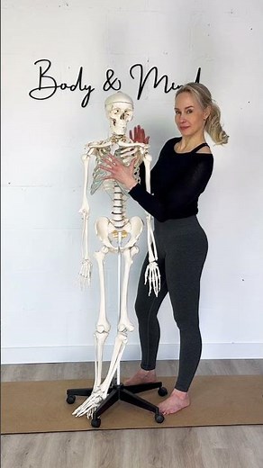PILATES ATMUNG | Skelett | 360 Grad (kurze Erklärung) #pilates
