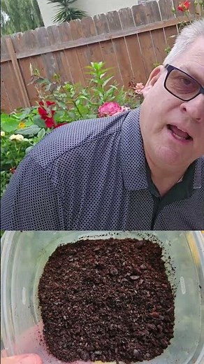 How to use coffee grounds to perk up your garden