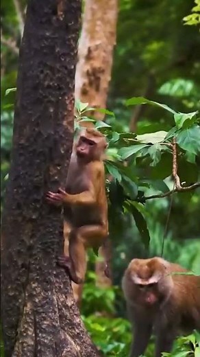 I segreti dell'origine della vita: come è nato tutto? | Documentario Storia della Terra