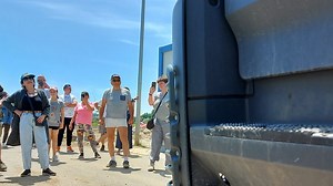 Ekološke stranke i pokreti u Srbiji: Zašto je zeleno postalo omiljena boja u srpskoj politici - BBC News na srpskom