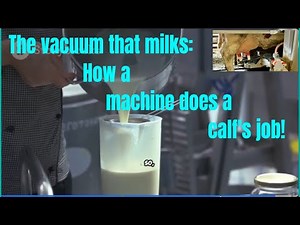 You Won't Believe | How Milking Machines Work!