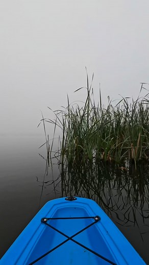 46 reactions | “Misty, paddle, peace.” “Kayaking through clouds on the water.” 100% need to use my Alltrails navigation this misty morning, when I was away from the shore line there was nothing to see but a white mist! #MelsWorldNSW #Alltrails #MistyMorning  Lake Wallace, Wallerawang NSW #BlueMountains #Paddle #Paddling #NSW #Wallerawang #Lithgow #ExploreMore #Kayaking #VisitNSW #BeautifulPlaces | Melissa Ellison | Facebook