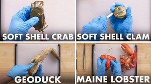 How To Open Every Shellfish