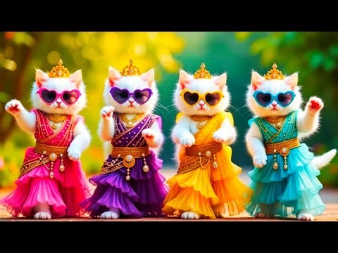 बिल्ली का डांस | Cat videos | funny cat dance 😆💃| Videos for cats billi dance #funny#dancingcat #cat