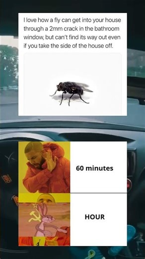 Bzzz Bzzzz Bzzz & Supreme Way Of Telling Time