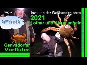 Angeln auf Wels, Aal und Wollhandkrabben? - Invasion in Havel, Elbe und Gnevsdorfer Vorfluter Teil:1