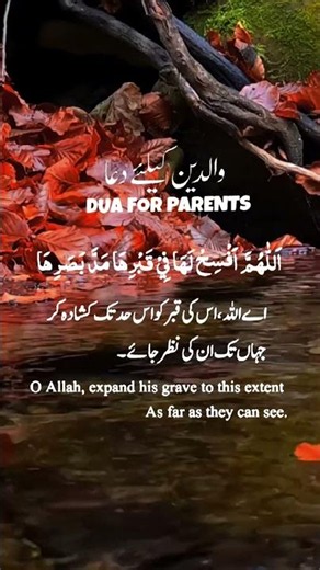 Most Beautiful Dua for Parents❤️ | والدین کے لیے خوبصورت دعا | Islamic Prayer