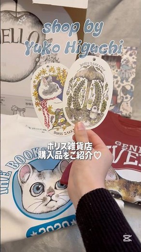 ボリス雑貨店購入品紹介🐈‍⬛お値段も書いてるよ👀 #ボリス雑貨店 #ヒグチユウコ #yukohiguchi #haul #ぽこぽこ