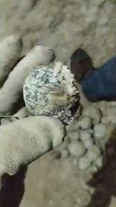 Mining Geodes in Mexico