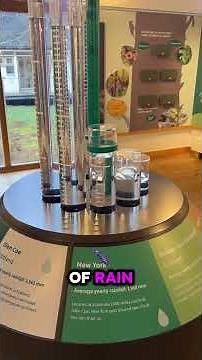 What is the wettest place in the world? 🤔☔️