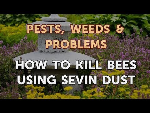 How to Kill Bees Using Sevin Dust
